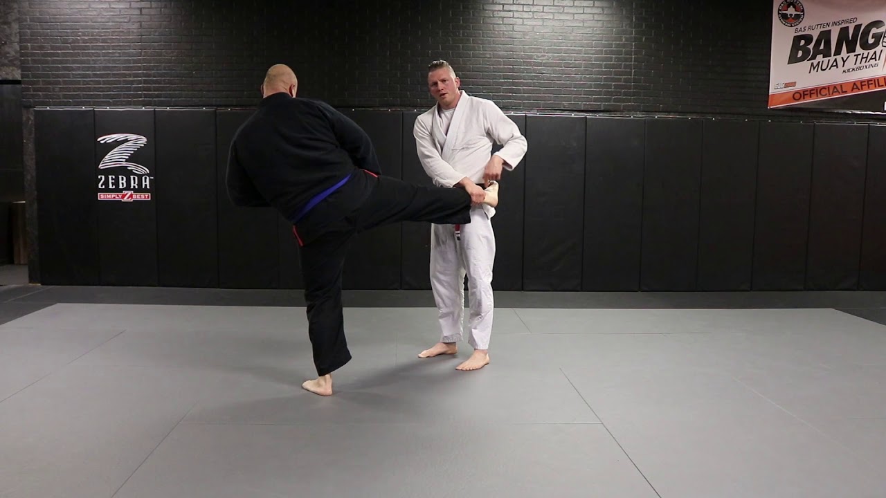 Roundhouse kick defense