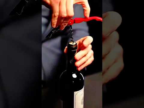 The Secret Life of a Wine Cork 🍷 #shorts #fact #trending