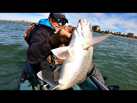 PESCANDO LAS ÚLTIMAS DE LA TEMPORADA, SON MUY FUERTES Y PELEADORAS!