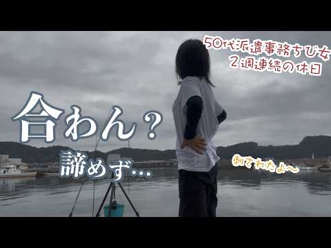 相性悪…連続の夜釣りで徹夜〜で試し…50代派遣事務チビ女が軽バンで車中泊して車中メシして最後は…釣って食べたい〜