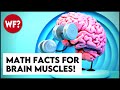 Math Mysteries and Fascinating Facts