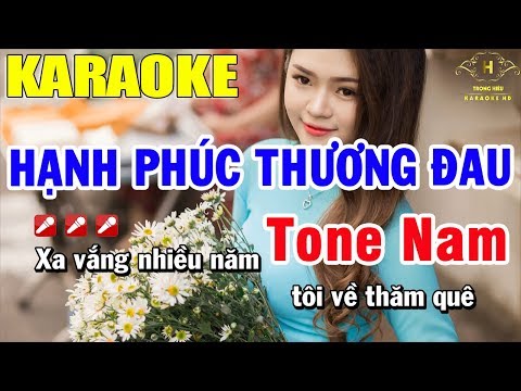 Karaoke Hạnh Phúc Thương Đau Tone Nam Nhạc Sống | Trọng Hiếu