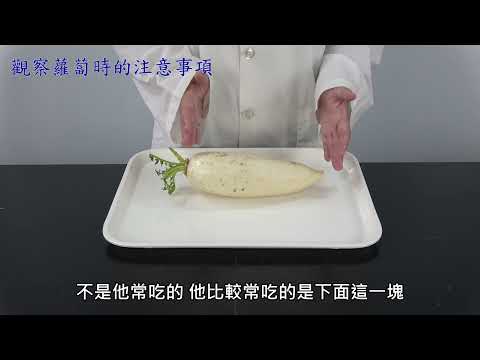 蔬菜的食用部位觀察注意事項 - YouTube