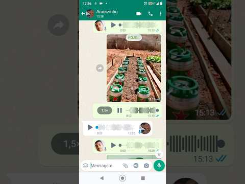 plantei Heineken