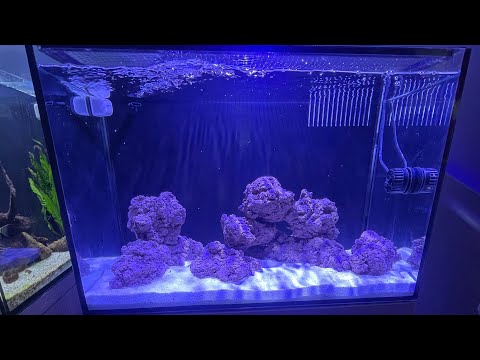 How to set up a saltwater aquarium How to set up a marine aquarium one thing I missed is making sure that you’re familiar with the ni