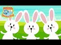 Bunny Activities and Movements