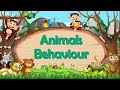 Animal Behavior Concepts and Learning
