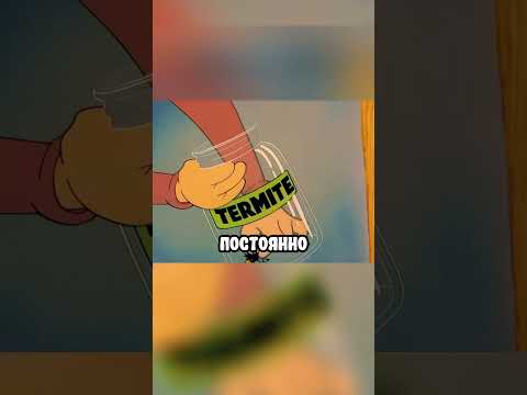 Дед помог Птицам ❤️🥹 #shorts #фильмы