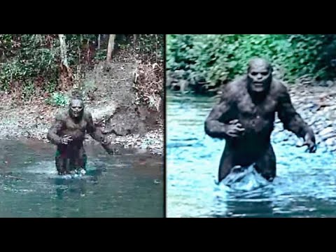 BEST BIGFOOT PROOF ON THE INTERNET!! UNDENIABLE EVIDENCE OF WHAT'S BEING HIDDEN FROM THE PUBLIC!!