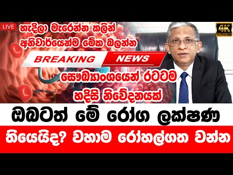 Hiru Breaking News |  This is a very special news |  Today Hiru Breaking Derana news Breaking