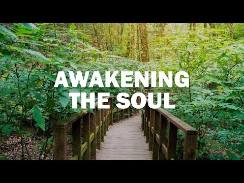 ZEN Mindfulness Music 🌿 Soothing & Relaxing for Sleep, Meditation, Study & Spa🍀