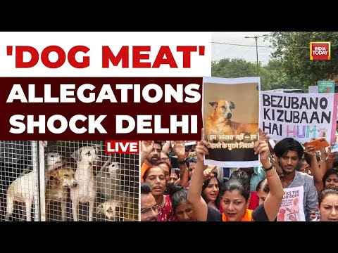 Protests In Rohini Over 'Dog Meat' Allegations | Activists Allege Dogs Being Killed In Shelters
