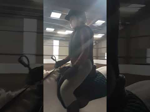 🤍🖤🤍🖤🤍🖤🤍