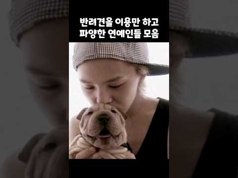 반려견을 이용만하고 파양한 연예인들 모음