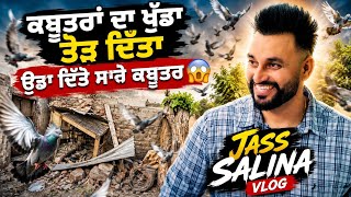 ਅੱਜ ਕਬੂਤਰਾਂ ਦਾ ਖੁੱਡਾ ਢਾਹ ਦਿੱਤਾ 🕊️ ਕਬੂਤਰ ਹਮੇਸ਼ਾ ਲਈ ਆਜ਼ਾਦ ਕਰ ਦਿੱਤੇ | Emotional Vlog 