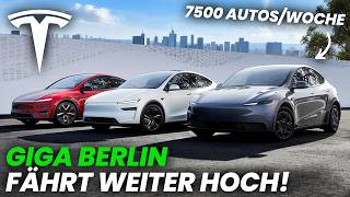 Teslas GIGA BERLIN erhöht erneut die Produktion! (Tesla News)