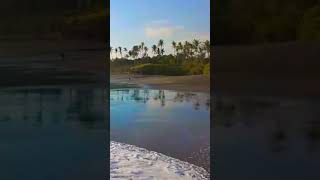 Magnificent Exotic Beach ! Relaxing Waves ! #shorts #waves #beach #relaxing