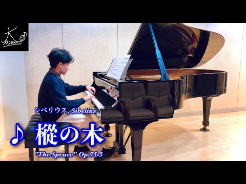 【ピアノ】シベリウス：樅の木（Sibelius: 