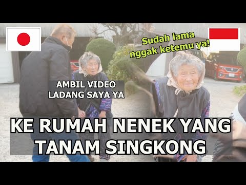 DIAJAK KE LADANG NENEK JEPANG