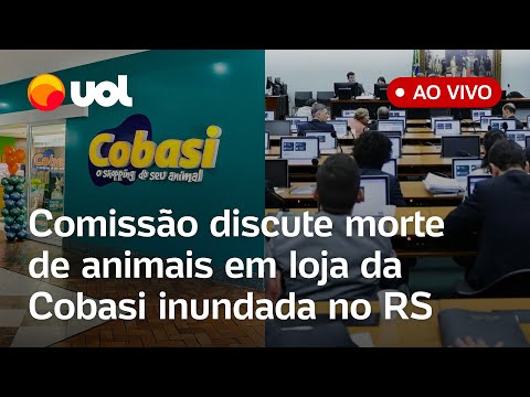 Caso Cobasi: Comissão discute morte de 38 animais em petshop inundado em Porto Alegre, RS; assista