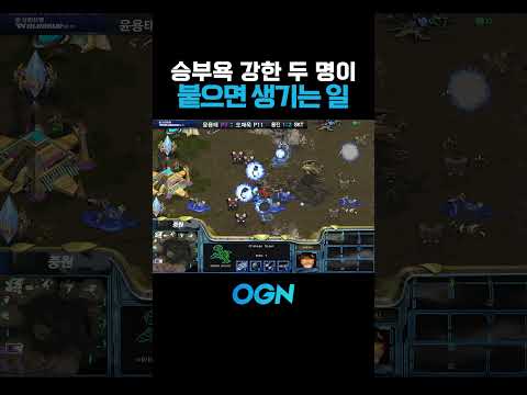 승부욕 강한 두 명이 붙었습니다...
