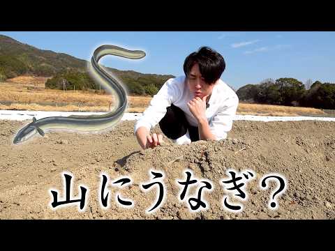 畑に埋まる謎の食材を掘り出してみると...