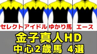 【POG2025-26】金子真人HD所有の中心2歳馬4選【マルガ/ランブルスコ/クカイリモク】
