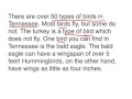 Mastering the Main Idea in Rational Expressions