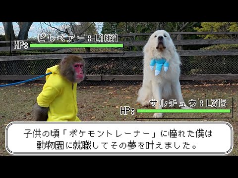 動物園で働いて18年！家族の動物たちとポケモンバトルを完全再現しました