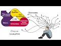 Understanding Implicit Bias