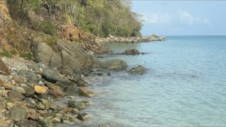 Beautiful tropical beach wave sounds live from the caribbean