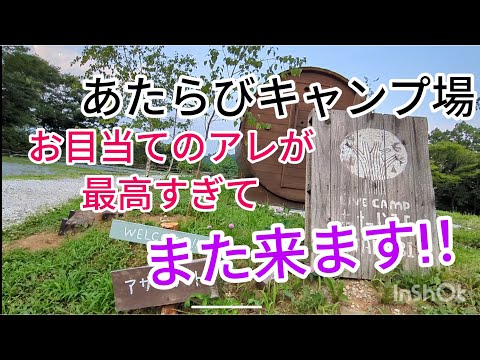 【キャンプ場紹介】 名物のアレを目当てに長野県小諸市のあたらびキャンプ場にいってきた!#キャンプ場#あたらびキャンプ場#キャンプ飯