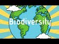 Exploring the Importance of Biodiversity in Ecosystems