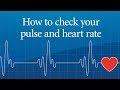 Understanding Pulse Checking and Exercise Recommendations