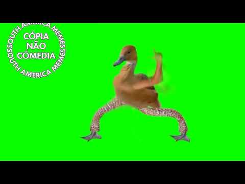 P A T I N H O - SOUTH AMERICA MEMES #shorts