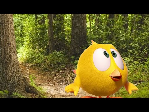 ¿Dónde está Chicky? | Las vacaciones de Chicky 🏕️ Dibujos animados para niños | Nuevos Episodios