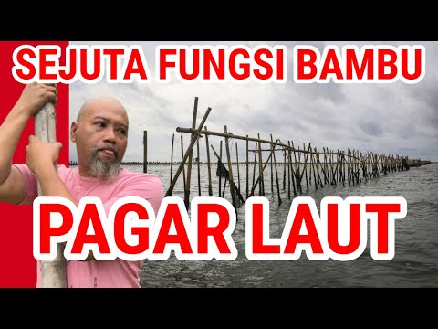 Pagar Laut Tangerang Komentar Pak Ndul Ahlinya Ahli