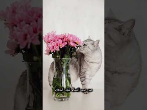 حقيقة مذهلة عن اللون الوردي! 😱