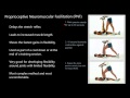 Stretching Techniques and Benefits