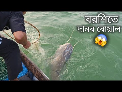 দেখো বন্ধুরা দানবীয় এক বোয়াল মাছ বেঁধে পড়েছে 😲🦈 || #gaintfish #fishing 