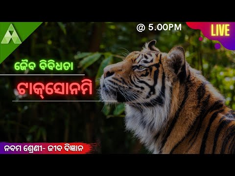 ଟାକ୍ ସୋନମି Taxonomy Biology | Class IX  | Aveti Learning