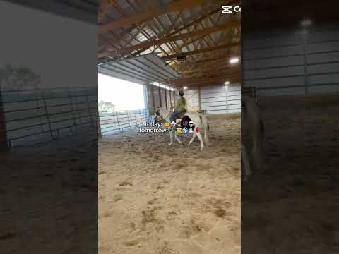 Yayayay #horse #equestrianjourney #horseenthusiast #stopanimalabuse #equestrian #horsefan