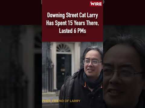 Downing Street Cat Larry Has Spent 15 Years There, Lasted 6 PMs