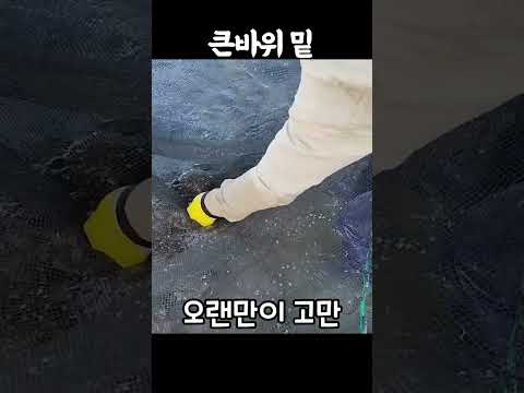 족대질 큰바위  놀람