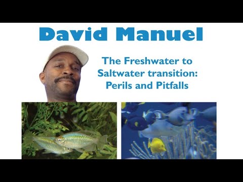 David Manuel - Transitioning from Freshwater to Sa Pitfalls and Perils.  Setting up a saltwater aquarium is the easy part.  It's what comes next that c