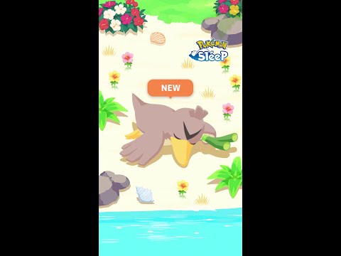 【公式】『Pokémon Sleep』にカモネギ登場！