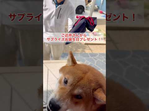 ご近所さんからまさかのサプライズ!