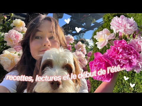 une journée d'été : festivals, lectures, recettes..