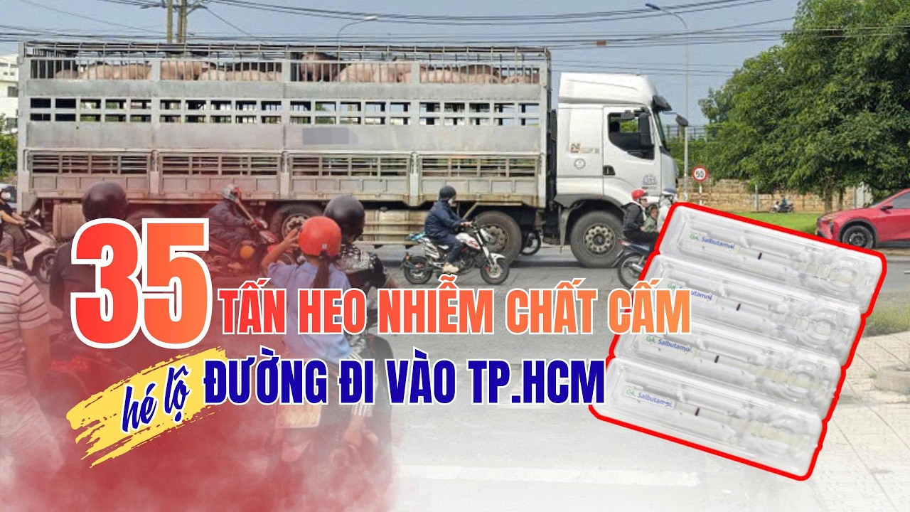  Theo chân 35 tấn heo nhiễm chất cấm trên đường vào TP.HCM
