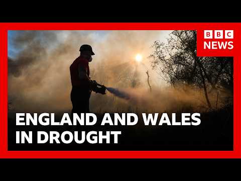 Fire crews still dealing with a "significant number" of fires across Wales and England | BBC News
